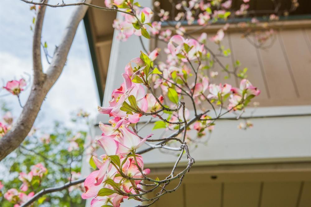 Best Western Sonoma Valley Inn&Krug Event Center Exterior foto